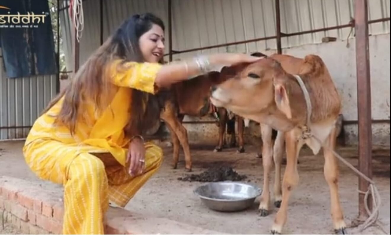 Support to a cow shed